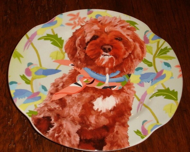 jay's sporting goods puppies