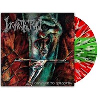 Incantation - Onward To Golgotha - Vinyl Record - G1398Z