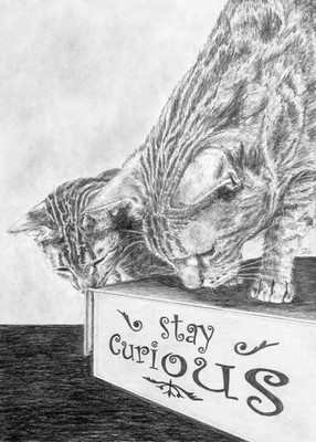 CAT 5''x7'' Notecard with Envelope - Direct from Artist - Blank Inside