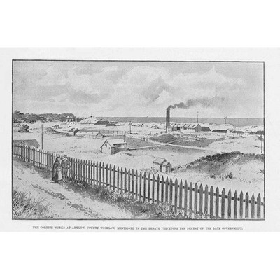 IRLAND Cordite Works at Arklow, Co Wicklow - Antique Print 1895