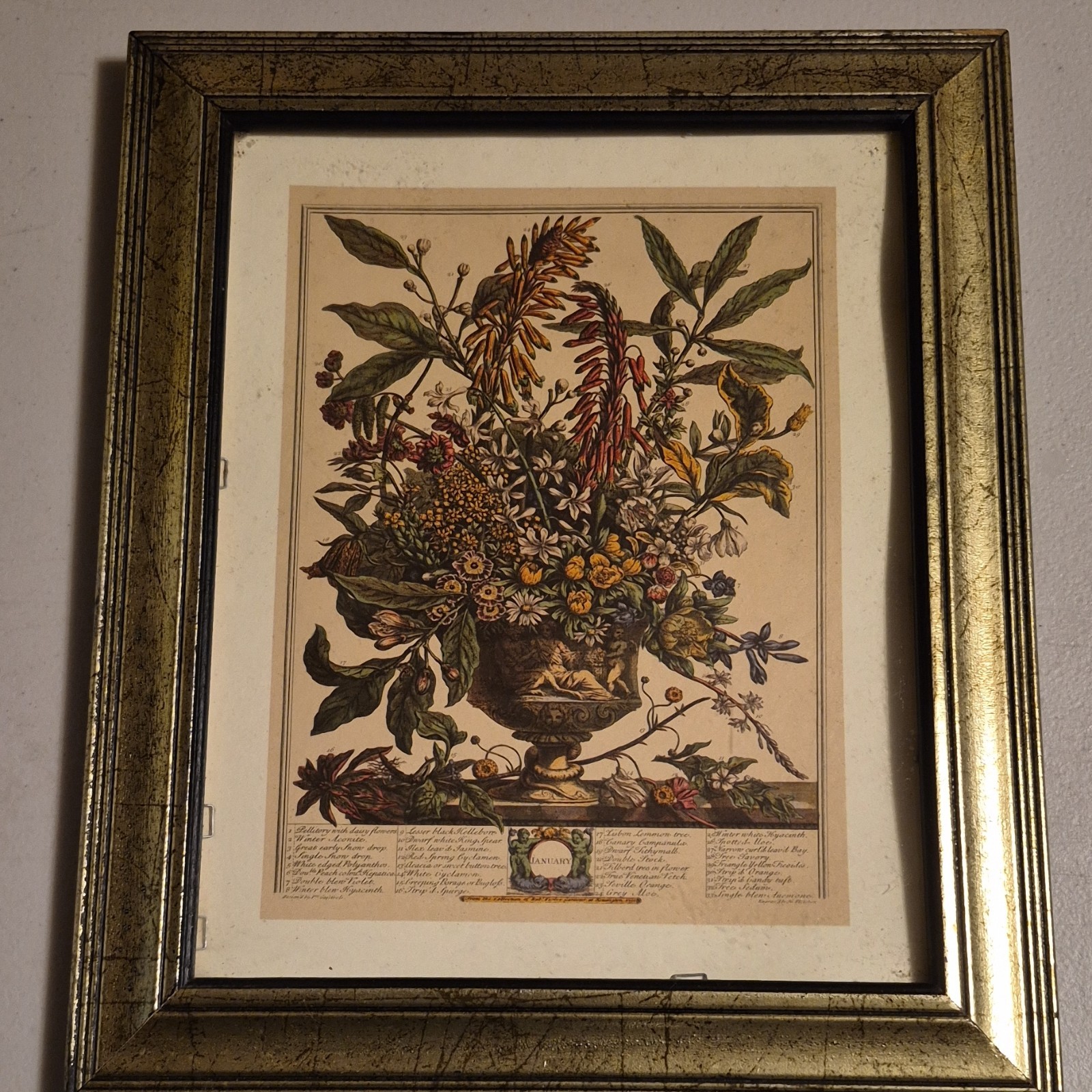 Framed Botanical Floral Print January Nature Art Portrait Paper