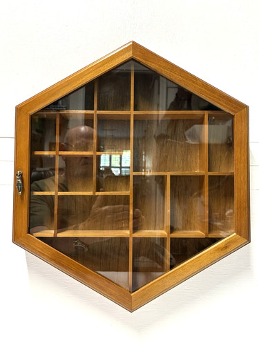 Curio Shadow Box Display Cabinet 20 Compartment Solid Wood Glass Panel Door VTG