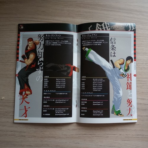 Garou MARK OF THE WOLVES Playstation 2 PS2 JAPAN NTSC-J SNK . Free UK P&P - Picture 8 of 10