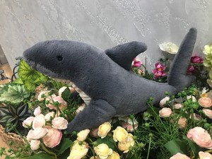 jellycat shark