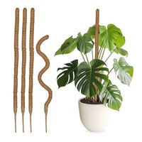 Kokosstab Kokos-Pflanzenstab PflanzenstüTze Moosstab Rankstab 90 Cm 5 StüCk