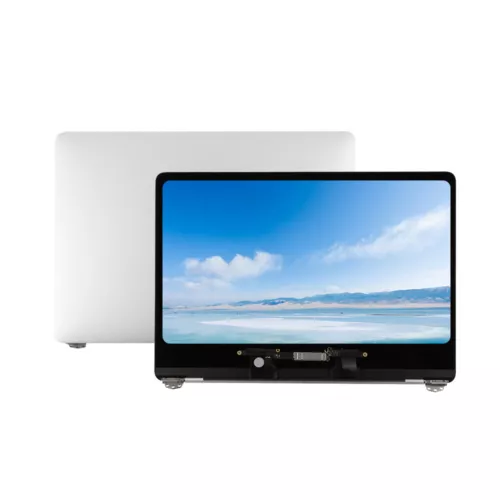 Silver For Apple MacBook Pro A1989 A2159 A2289 A2251 LCD Screen Display Assembly