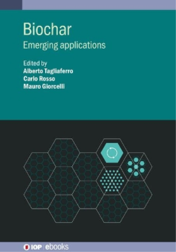 Professor Naomi Klinghoffer Biochar (Copertina rigida) IOP ebooks