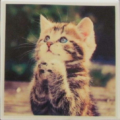 Handmade Natural Stone Ceramic Tile Marble Drink Coasters - Set of 4 - Cats 4G - Picture 2 of 7