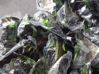 HUGE Bulk Lot 2003 Happy Meal Mcdonalds Package Toy Lot Green Tonka Loader CHEAP — photo 6