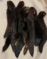 LOT OF GENUINE BLACK MINK FUR TAILS FLY TYING 67