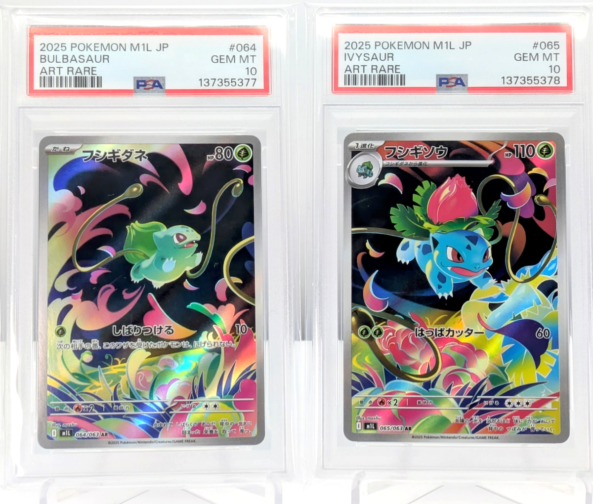 PSA 10 BULBASAUR IVYSAUR SEQ SET 2025 POKEMON JP M1L MEGA BRAVE