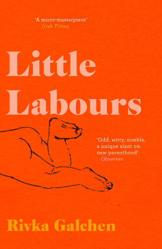 Little Labours By Rivka Galchen
