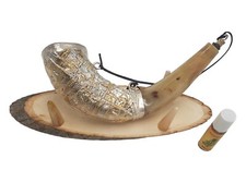Amezing Shofar Öl 13 Zoll Salbung versilbert Widder Horn Jerusalem Chofar + S...
