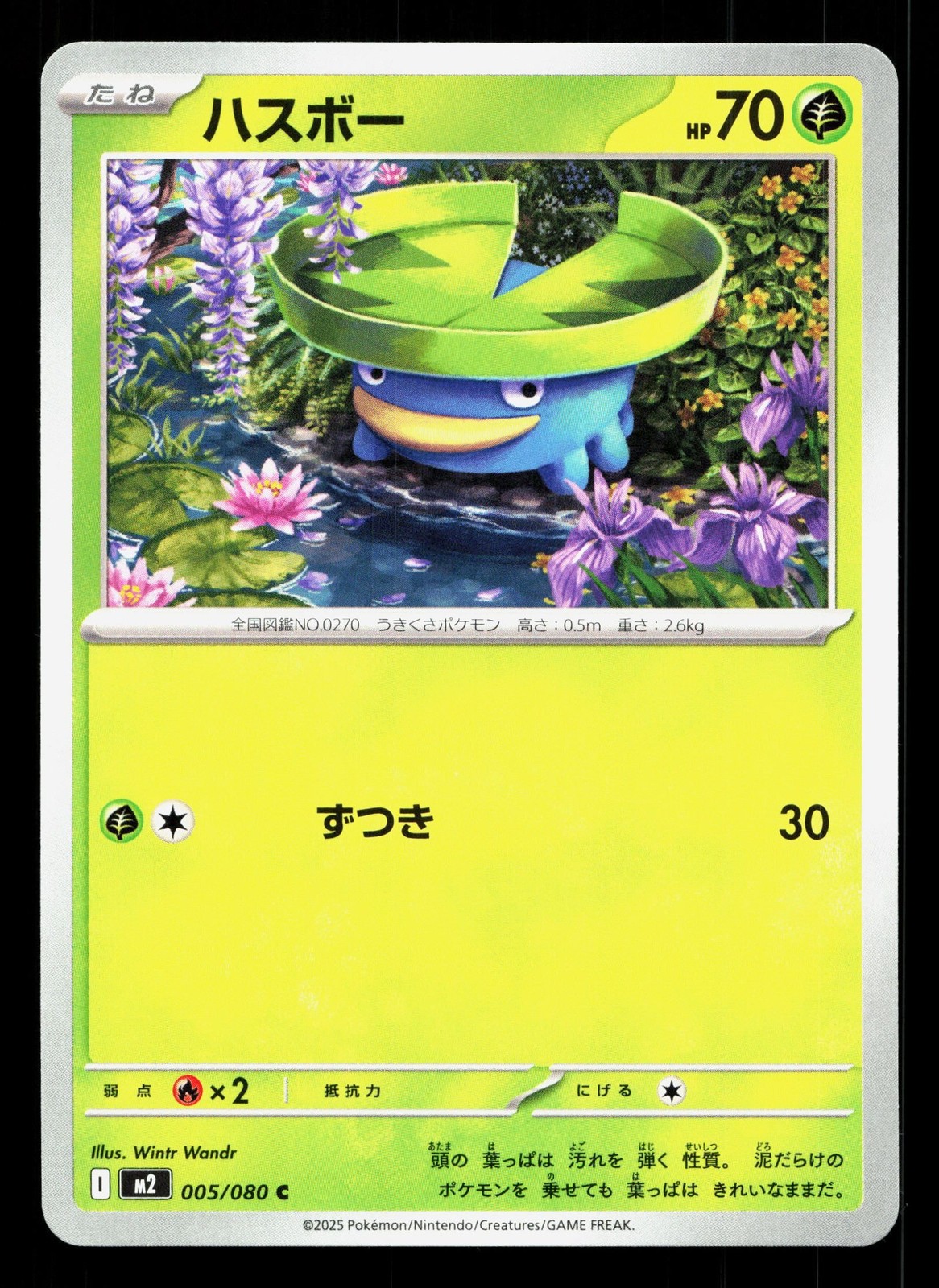 Lotad 005/080 Inferno X NM Japanese Pokemon Card TCG