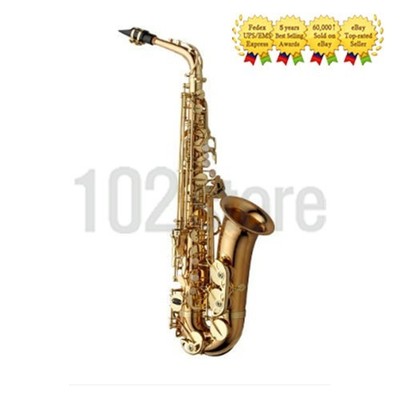 Yanagisawa A-WO2  Alto Saxophone + case