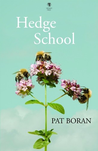 Hedge School by Pat Boran (Paperback Book) - Image 5