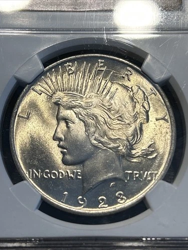1923 PEACE SILVER DOLLAR GRADED AN MS65 BY NGC WITH LIGHTED BOX