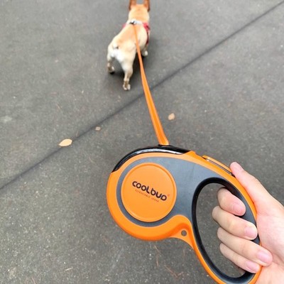 Dog automatic retractable leash for walking small, medium and large dogs