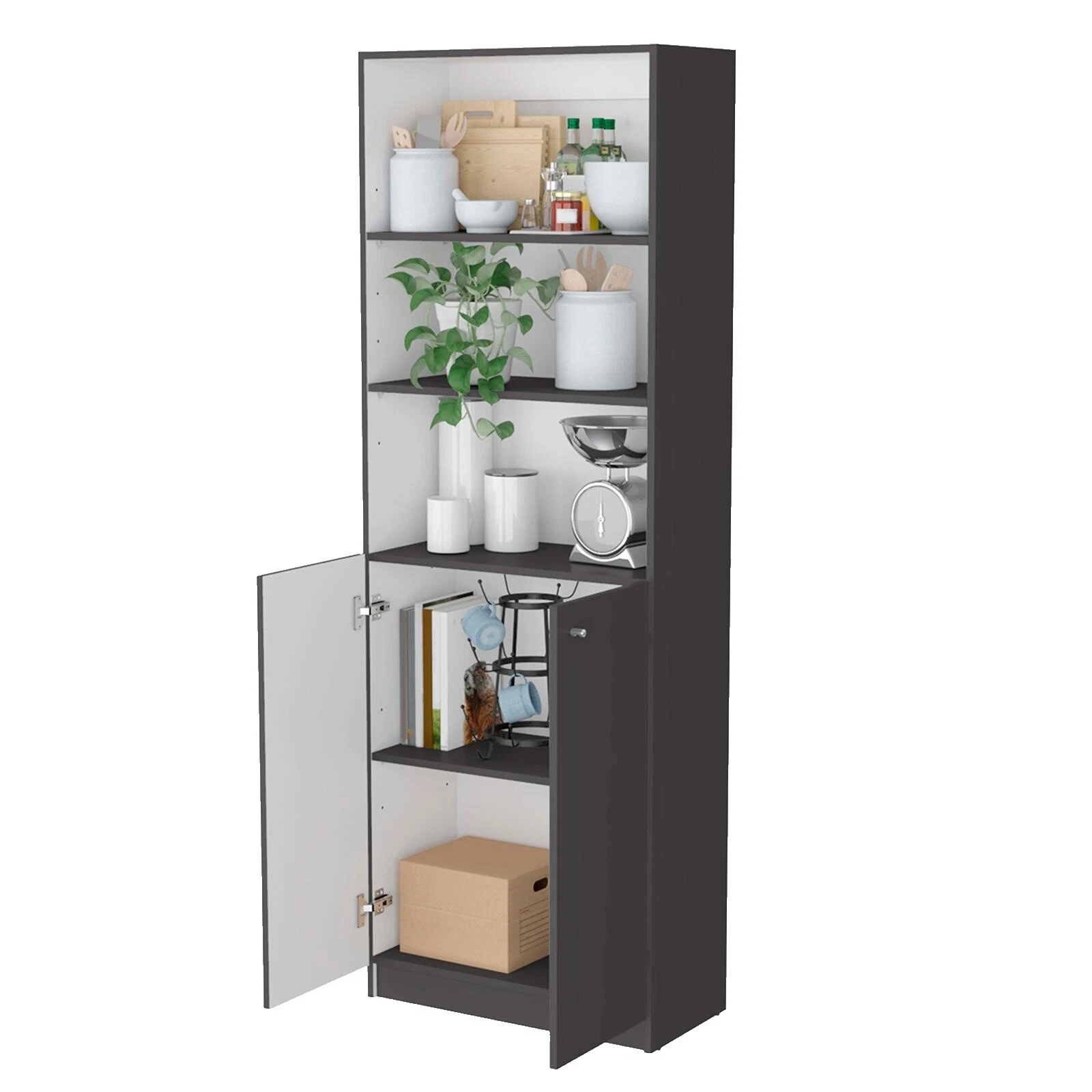 Multicolor Bookcases & Shelving