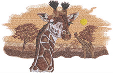 Premium African Animals Collection Giraffe Head