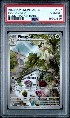 Floragato graded PSA 10 for sale on eBay