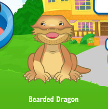 Webkinz Bearded Dragon Virtual PET Adoption Code Only Messaged Webkinz Lizard