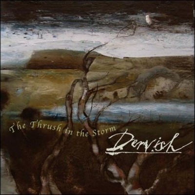 Dervish : The Thrush in the Storm CD (2013) Incredible Value and Free Shipping!