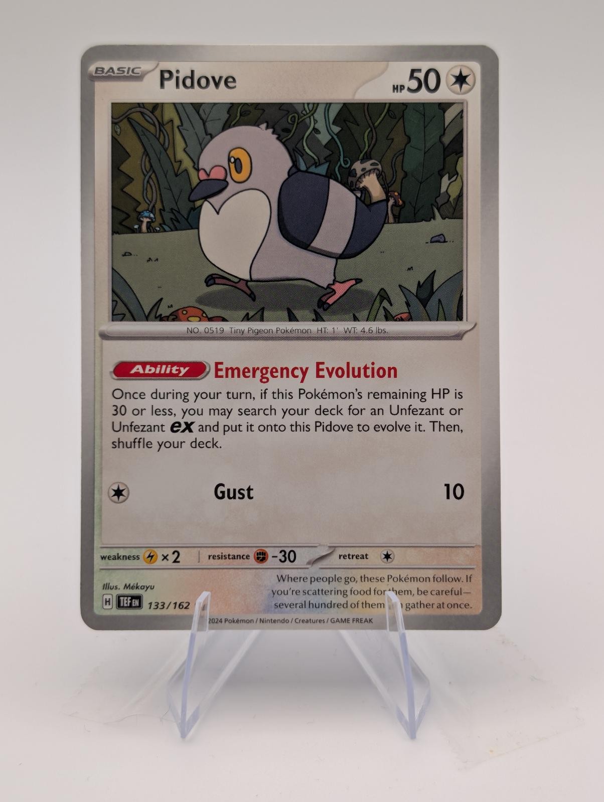 Pidove 133/162 Common Temporal Forces Pokemon Near Mint