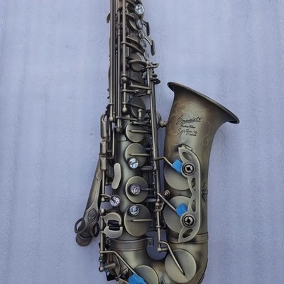 SYSTEM-76 Alto Saxophone E-flat Engraving Professional Sax with case mouthpiece