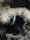 Picture 2 of 2