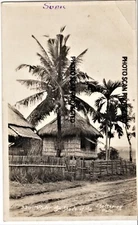 RPPC.UNDER THE SHADE OF THE SHELTERING PALM.REAL PHOTO POSTCARD, RARE.VINTAGE