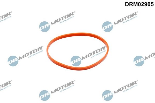 Dichtung, Drosselklappenmanschette Dr.Motor Automotive DRM02905-image