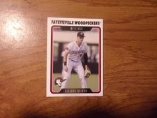 2023 FAYETTEVILLE WOODPECKERS Choice Minor League Single Cards YOU PICK OBO