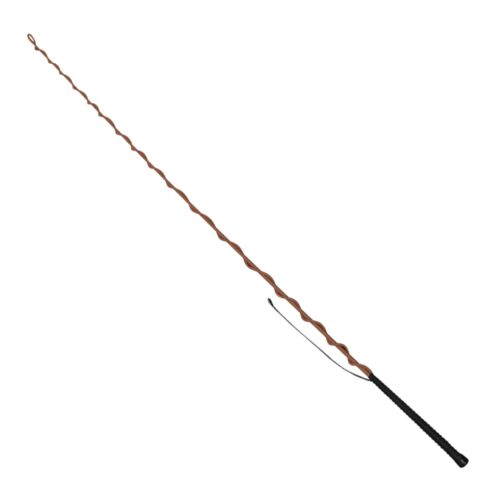 EQuest Longierpeitsche - mocha - 200 cm Longiergerte Longieren Pferd Training - Bild 2 von 3