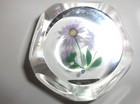 CAITHNESS/WHITEFRIARS "DAISY DUET"  Paperweight  with box   3"    LE  #14/50 — photo 5