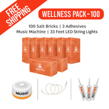 Himalayan Salt Bricks 8x4x2 Wellness Pack 100 For Salt Spa Sauna Wall AFFORDABLE