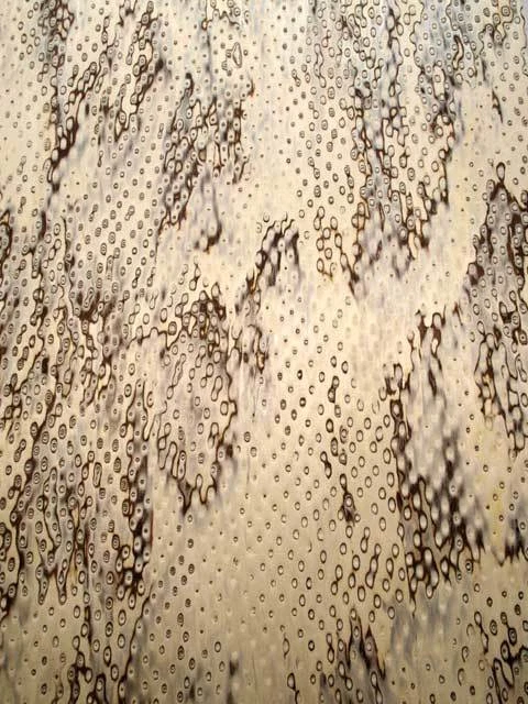 Chapa de abedul para ojos de pájaro SaRaiFo abedul 250x32 cm