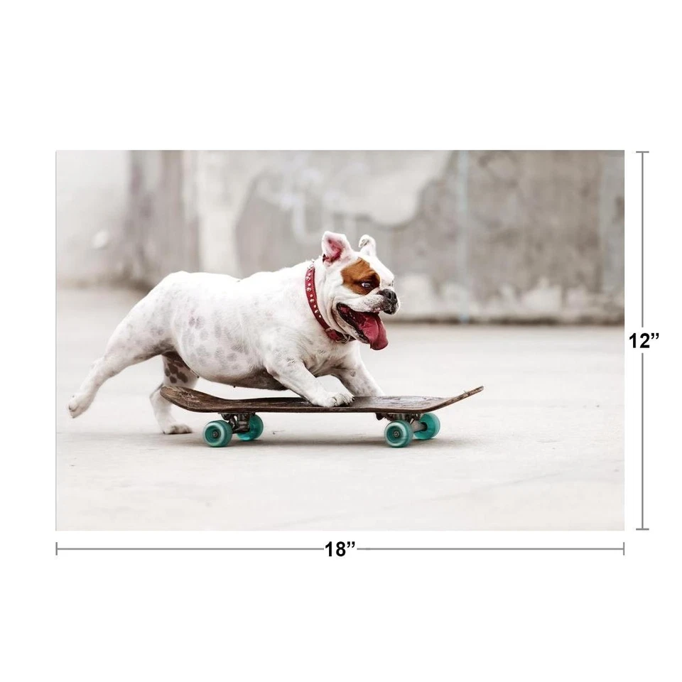 Cool Bulldog Skateboarding to Skate Park Photo Art Print Poster 18x12 - Image 2 of 3