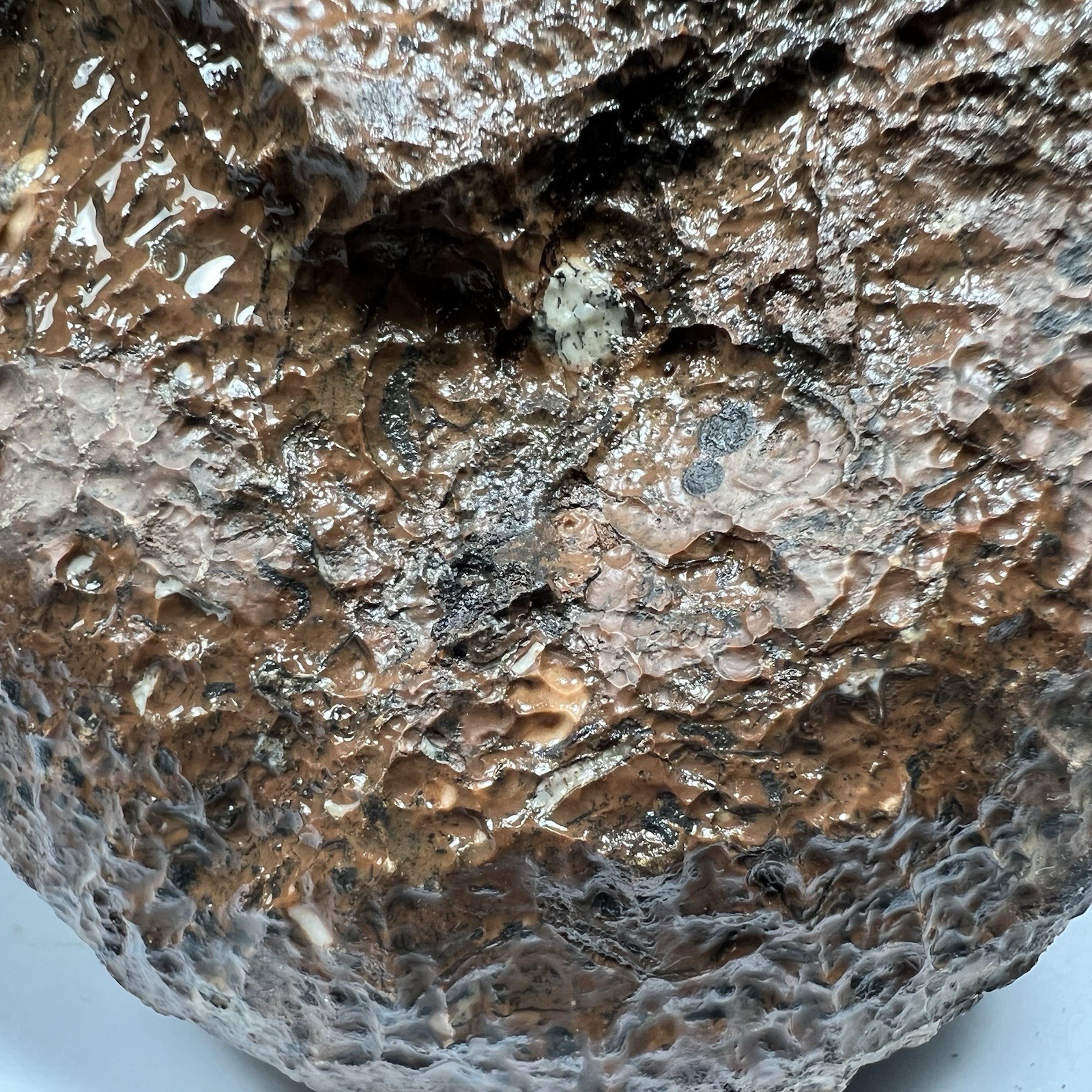 Picture 8 of 24