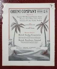انونكيوس ORIENT Ceylon