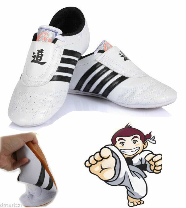 Taekwondo Training Shoe Kung Fu Shoe Karate Shoe Tai Chi Shoe Martial