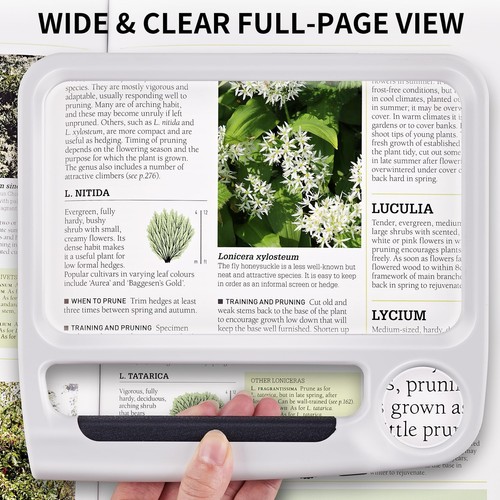 5X 10X Large Magnifying Glass for Reading, Rechargeable Magnifier with 3 Ligh... - Bild 2 von 8
