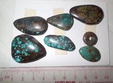 Turquoise Stone Flat Free Form Cabochon 155 Carat 7 pieces 31 gram