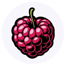24 x 'Ripe Raspberry' Stickers (SK00067452)