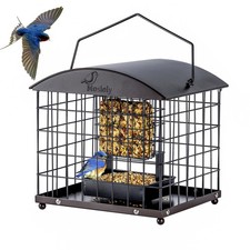 Caged Suet Feeders Squirrel-Proof, Dual-Purpose Suet Wild Bird Feeders with ...