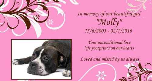 Personalised Metal Pet Photo Memorial Stake Grave Name Plate Outdoor UV Dog Cat - Picture 7 of 21