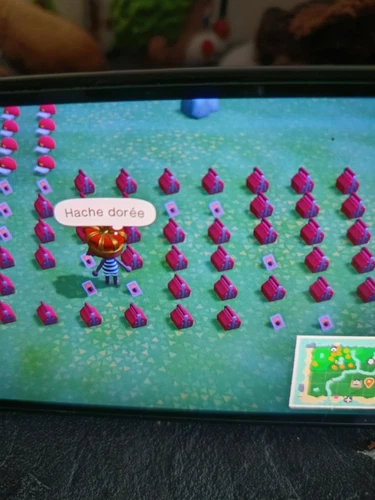  animal crossing Outils Spéciaux 