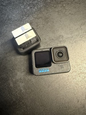 GoPro Hero 12 mit Zubehörset und Hundegeschirr und Kopfgeschirr