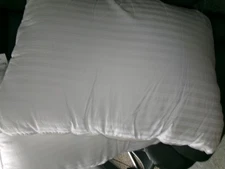 Pair of Down Alternative Beckham Bed Pillows **20" x 28" # 1046