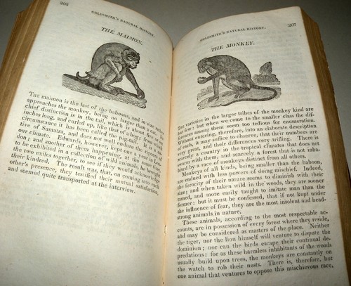 An abridgment of Dr. Goldsmith's Natural history of beasts and birds 1807, HB - Picture 14 of 15